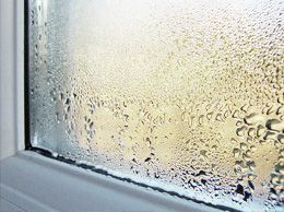 Foggy window replacement